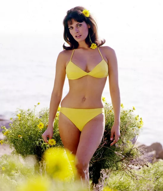 Raquel Welch Yellow Bikini 8x10 Picture Celebrity Print