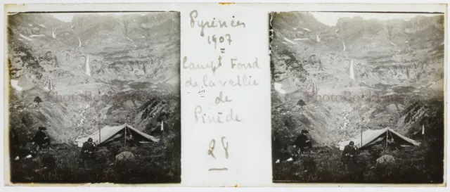 FRANCE Mountain Pyrenees Pine Valley 1907 Photo Glass Plate Stereo 2