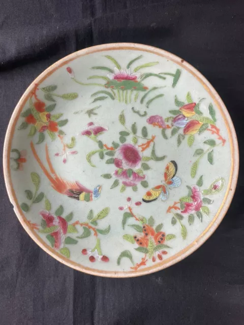 Antique Chinese Porcelain Plate Painted Paradise Bird Butterfly. Marked