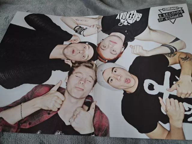 5 Seconds of Summer / Architects / Beartooth double page poster / photo