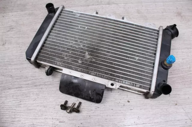 Wasserkühler Kühler Radiator Hyosung GT 650 R GT650R 05-08