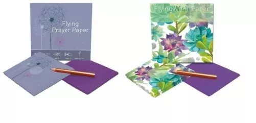 Flying Wish Paper,Cactus Verde Paquete Combinado,It Fly 2X Mini Kits - 12.7cm x