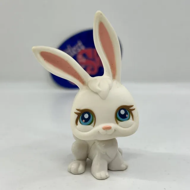 BUNNY RABBIT #3 - Authentic Littlest Pet Shop - Hasbro LPS