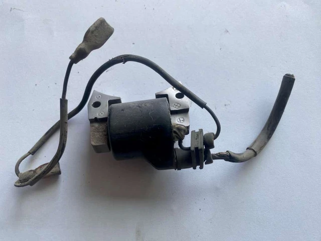 BOBINA MOTORE INDUSTRIALE Briggs & Stratton AGRICOLO RASAERBA MOTOCOLTIVATORE EC