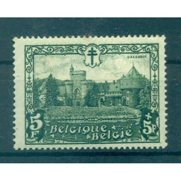 Belgique 1930 - Y &amp; T n. 314 - Oeuvres antituberculeuses (Michel n. 297)