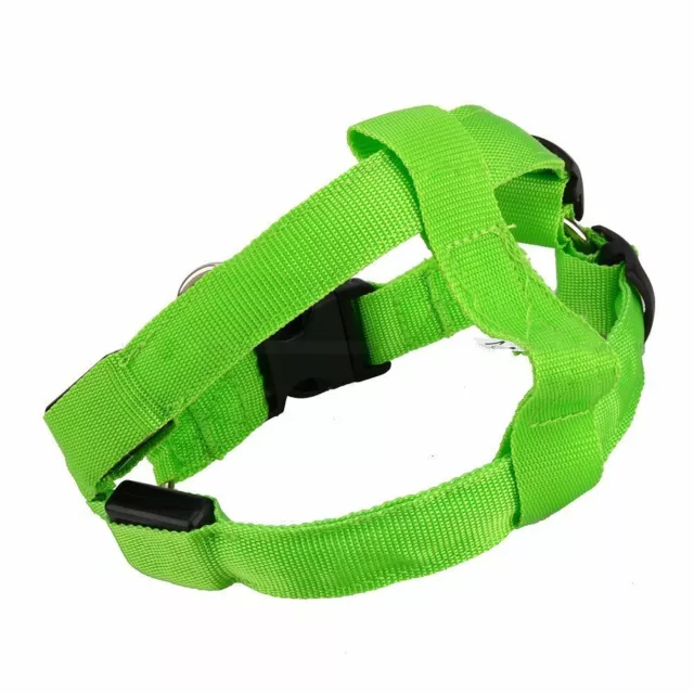 ADD&SHIP 2 DEL Flash Dog harnais laisse animal de compagnie éclairage collier de sécurité 3