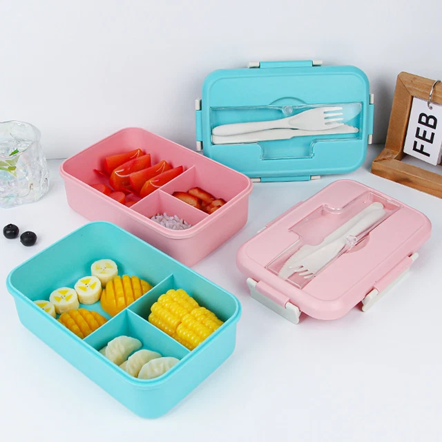 Smooth Containers 1 SET 501-800ML Lunch Container Smooth Edges Pack Meals School Office ...