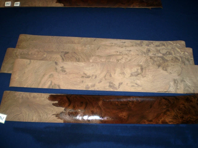 Nogal saramp chapa de fieltro recubierto 720 x 115 mm 5 hoja n.o 942