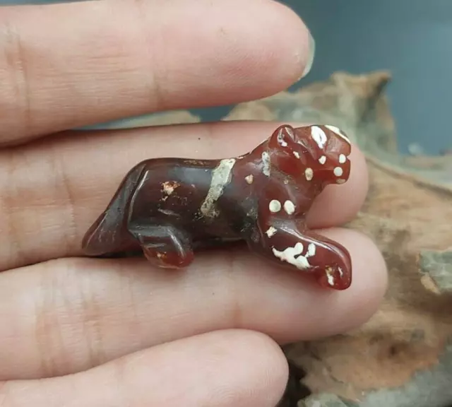 Ancient Patina  Attractive Etched Carnelian tiger pyu Amulet Pattern Bead 古老小珠