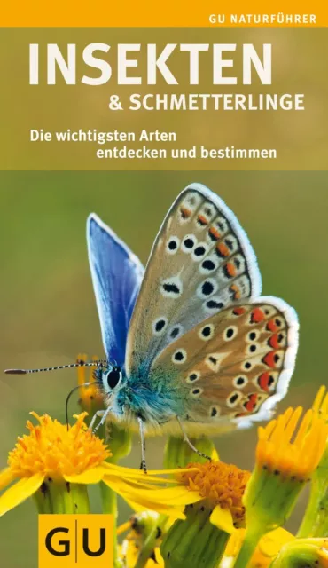 Insekten und Schmetterlinge - Die wichtigsten Arten entdecken und bestimmen