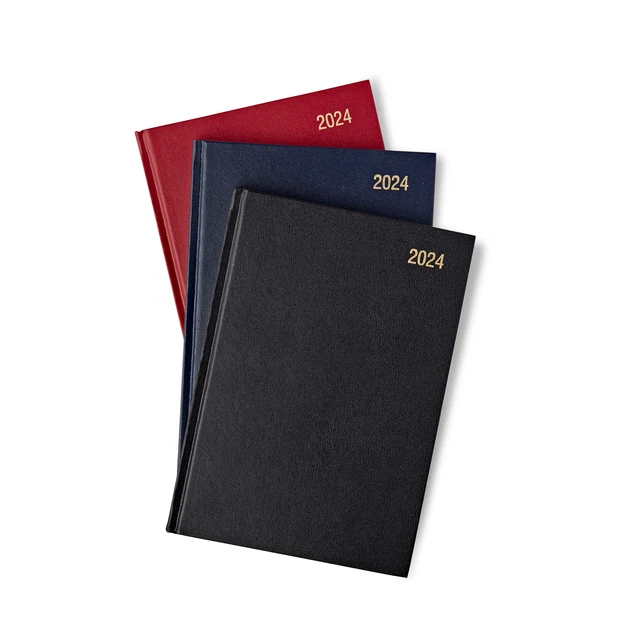 Day A Page Diary 2024