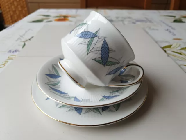 🌻 Royal Standard Fine Bone China Trend Trio - Tea Cup, Saucer & Side Plate