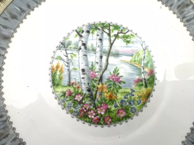 Royal Albert SILVER BIRCH 9 7/8" TAB HANDLED CAKE PLATE England Small medallion 2