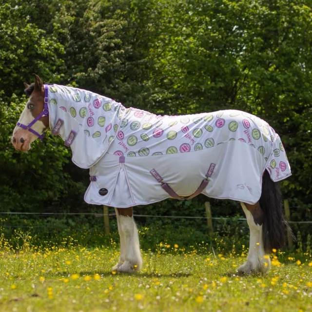 Fly Rug, Gallop Sweet Treats Combo Full Neck Fly Horse/Pony Rug, 5'6"-7'0",