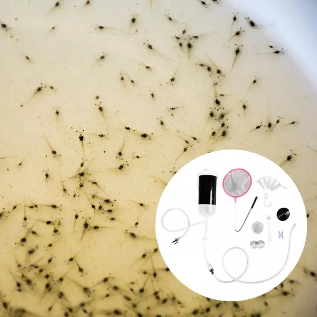 Brine Shrimp Incubator Artemia Eggs Hatchery Baby Fish Feed Hatch Tool