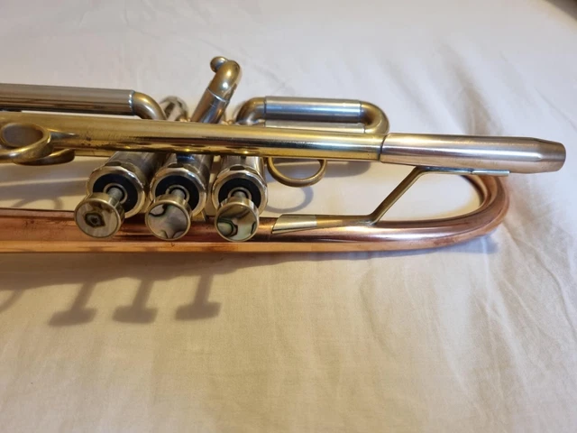 Trumpet Lotus Solo Max - Raw Brass 2