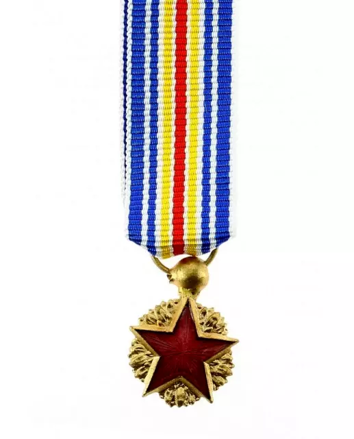 INSIGNE BLESSE DE GUERRE - Médaille militaire réduction (Mini) (Légion & Armées)