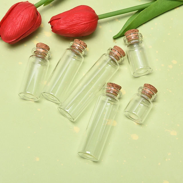 10 STÜCKE Mini-Glasflaschen mit Korkstopper Klare Flasche Fläschchen Hochzeit  q