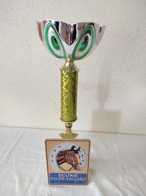 Coupe argentée pour tout type de sport version classique de 24 à 36 cm