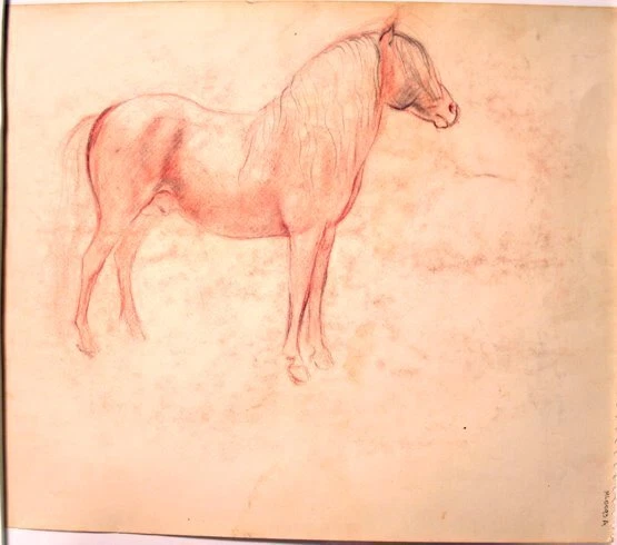 #1 Maureen Love Original Sketches Wrangler facing right