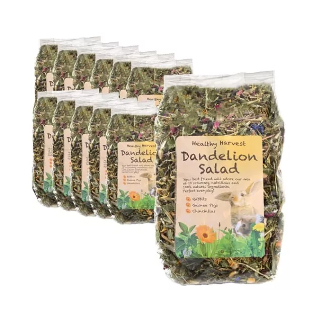 Pets Dandelion Naturals Salad for Guinea Pigs Rabbits Chinchillas Small Animals