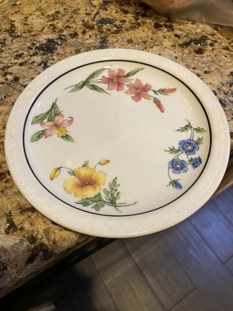 Southern Pacific RR PRAIRIE MOUNTAIN WILDFLOWERS Syracuse china Railroad