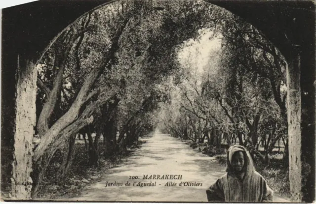 CPA AK Marrakech - Jardin de l'Aguedal - Allee d'Oliviers MAROC (1082842)