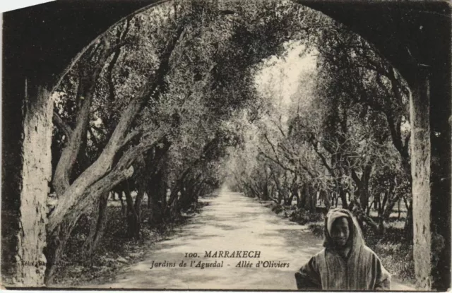 CPA AK Marrakech - Jardin de l'Aguedal - Allee d'Oliviers MAROC (1082842)