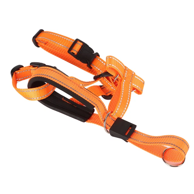 Collare testa cane museruola cane supporto testa muso design controllo anteriore regolabile