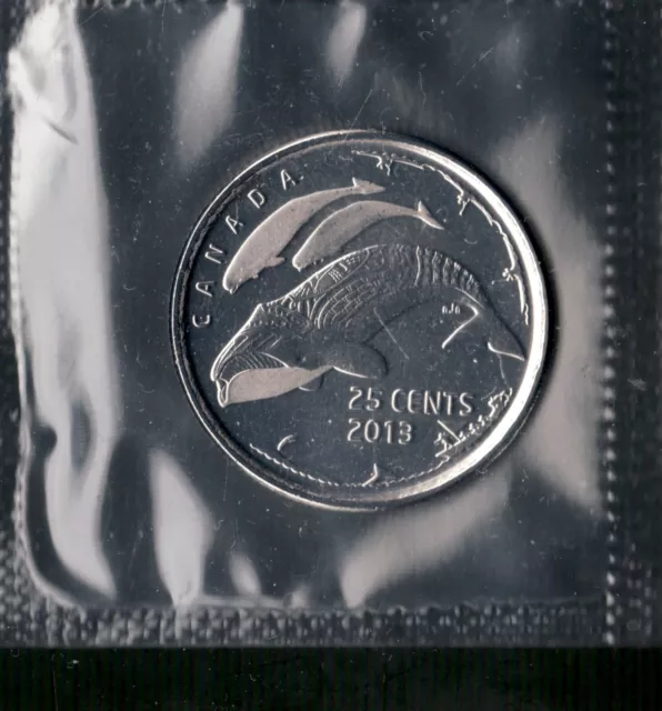 2013 Canada Quarter 25c Coin, Life in the North, Beluga Whale, in OEM Plastic