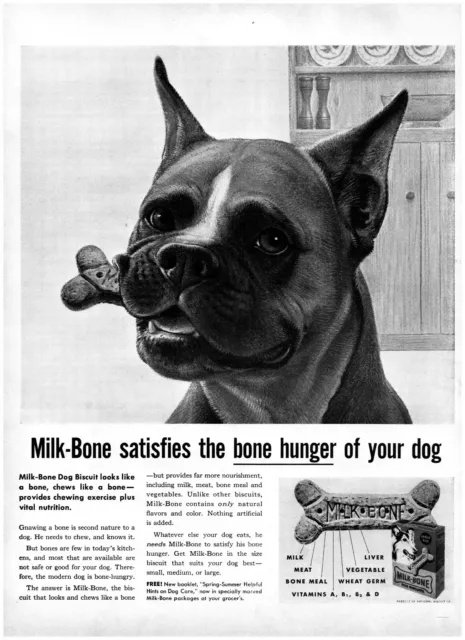 1959 Milk Bone Vintage Print Ad Boxer Satisfies The Bone Hunger Of Your Dog