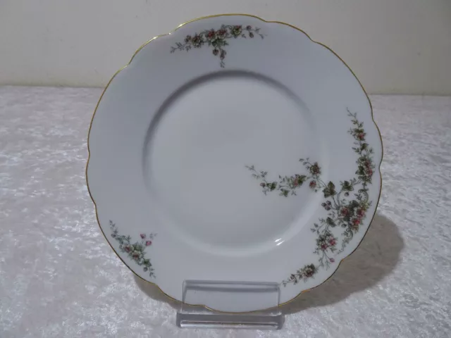 Antiguo Estilo Moderno Diseño Porcelana Plato de Tarta C. Tielsch Altwasser Para