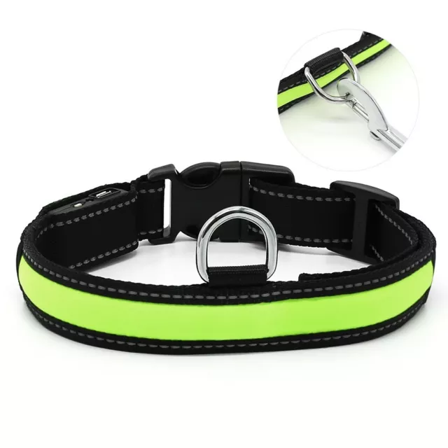 Collier canin tous types temps, collier en nylon lisse avec veilleuse (vert méditerranéen)  