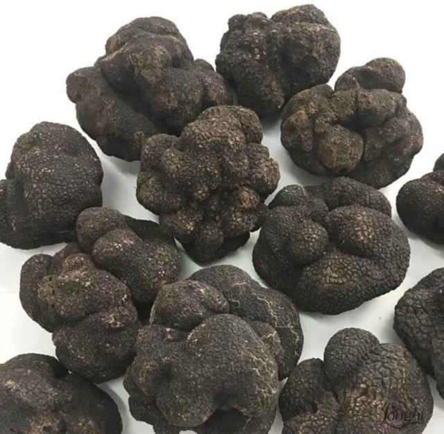 110 grammi di tartufo nero fresco di Bagnoli