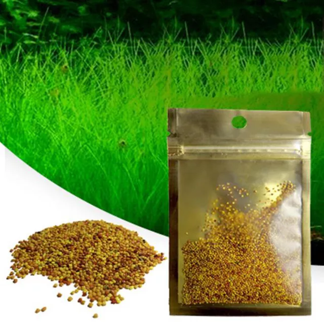 Aquarium Plant Seeds Fish Tank Aquatic Fresh Water Grass Carpet Mini Leaves DIY