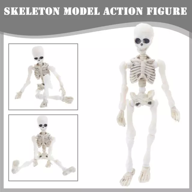 Halloween bewegliches Skelett menschliches Modell Schädel Full Body Mini I1X8