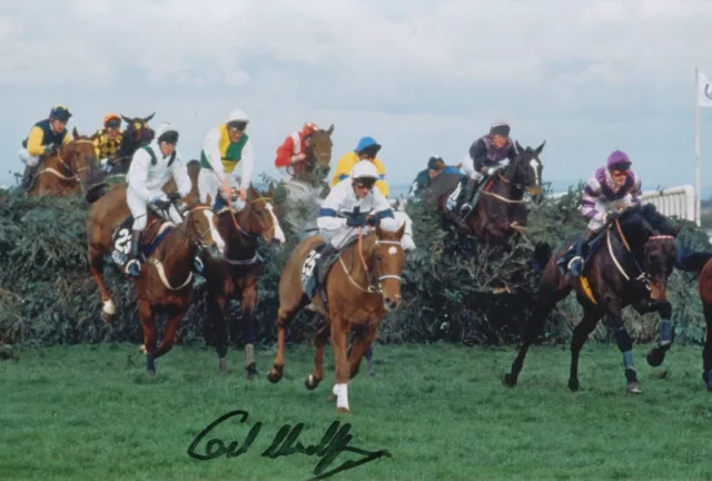 Carl Llewellyn Hand Signed 12X8 Photo Party Politics Horse Racing 1