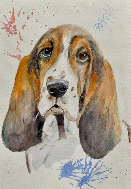 Watercolor Portrait of a Basset Hound. Size 9x12 in