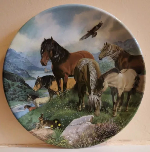 Davenport Pottery Collectors Plate Of Native Highland Ponies Boxed & Certificate