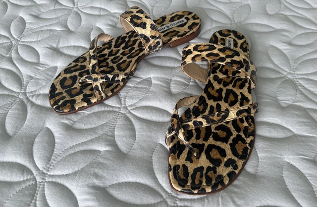 Sandals, Women's Shoes, Women, Clothing, Shoes & Accessories