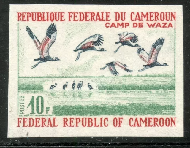 New Non-Lace Stamp / Stamp Of Cameroon Pa N° 501 ** Wildlife Birds