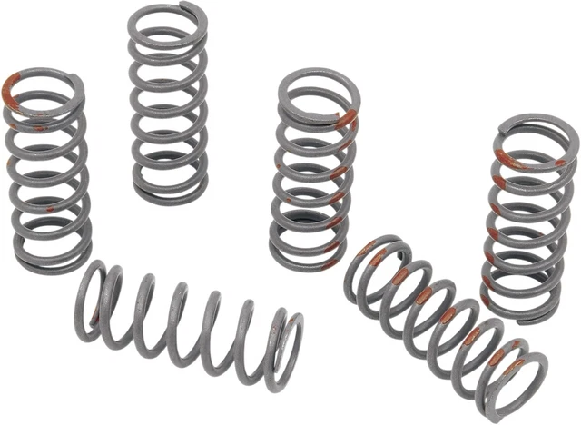 KG Powersports KGS-012 High Performance Clutch Spring Set