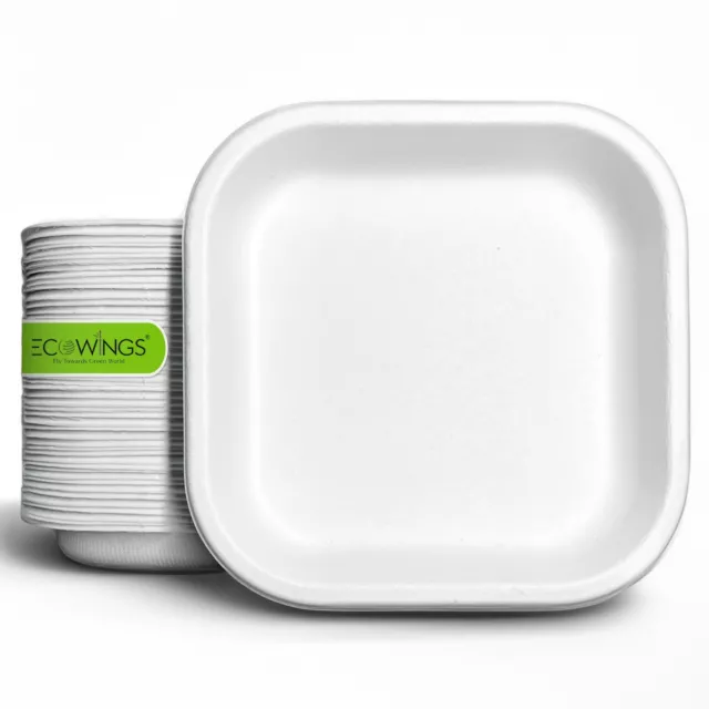 Disposable Plates - Square 6 Inch Square Compostable Bagasse Plates - ECOWINGS