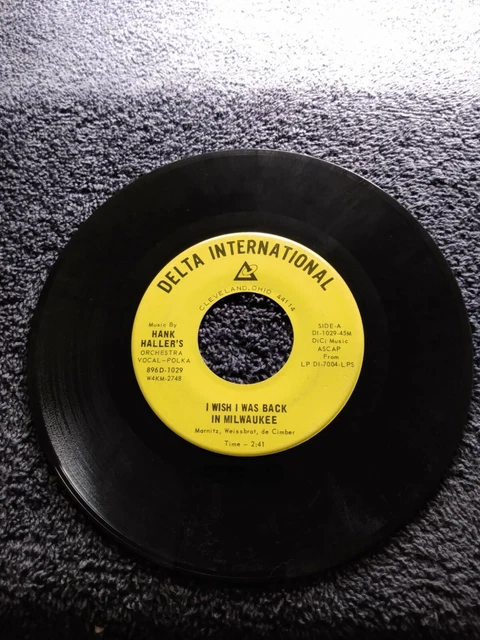 Delta International - Hank Haller's Orchestra - I Wish I Was Back In Milwaukee