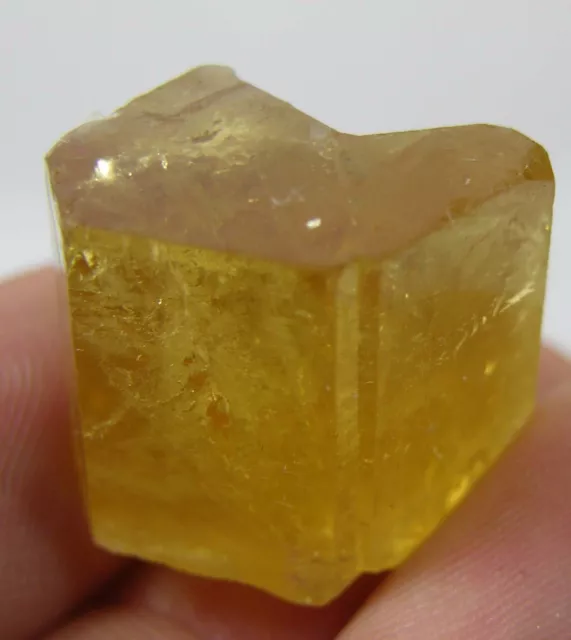 52.20ct Pakistan Terminated Raw Rough Beryl Heliodor Crystal Specimen 10.4g 19mm