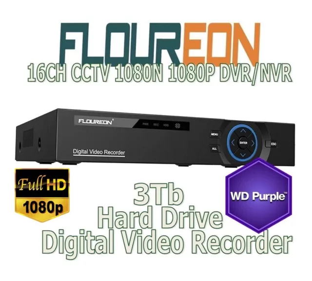 Nvr floureon sales