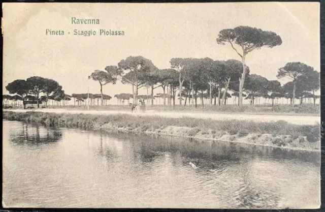 Cartolina Ravenna - Pineta. Staggio Piolassa / FP - Viaggiata 1908