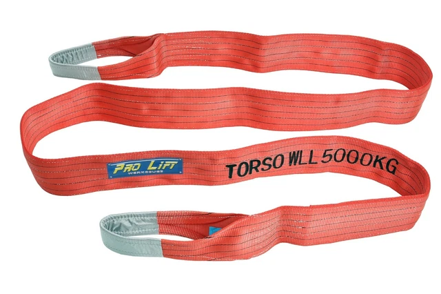 Cinghia di sollevamento imbracatura rotonda 2 passanti lunghezza 5 m 2 strati WS55J 02382