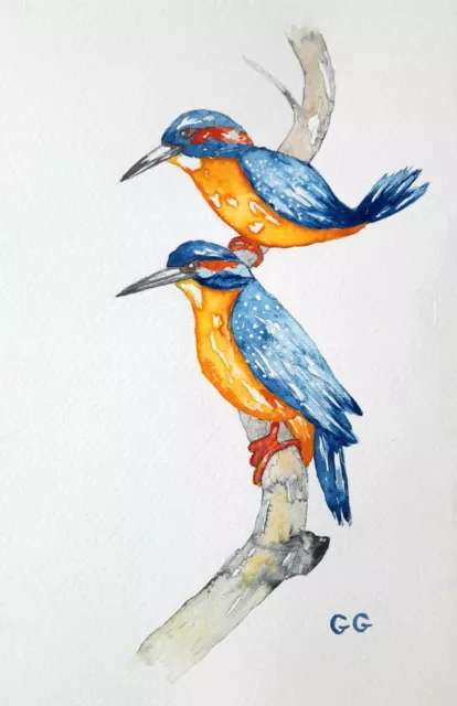 Watercolour Bird painting Blue Kingfishers 20x30 cm - free postage - original