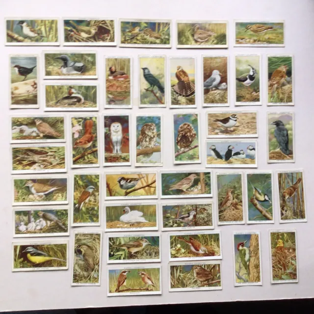 Cigarette Cards- Wild Birds By Players- Part Set 41/50.